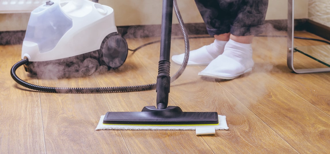 steam cleaner for home